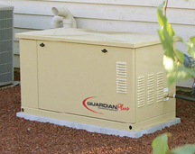 guardian generator